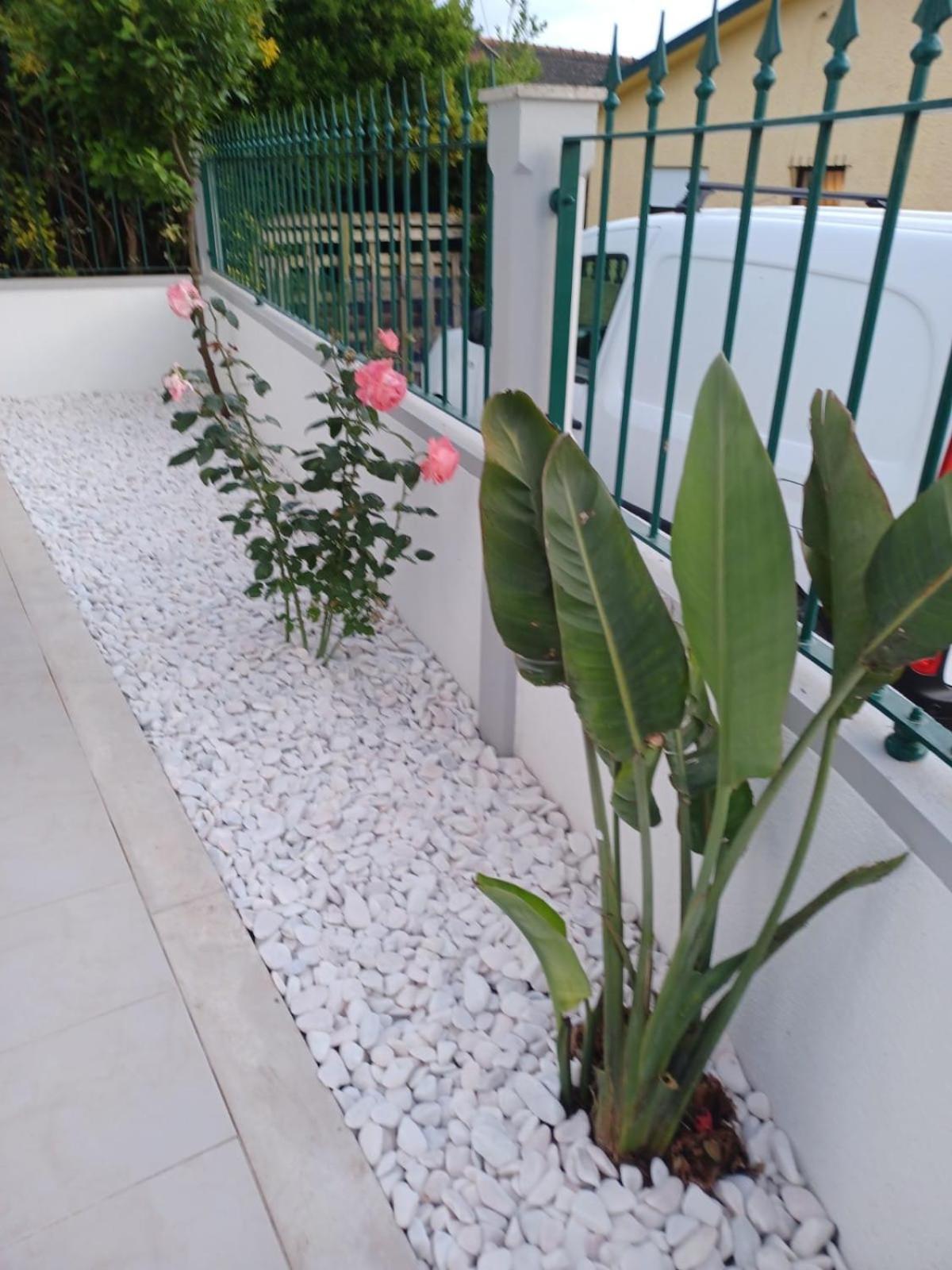 Lagoon & Country Side Home Ílhavo Екстериор снимка